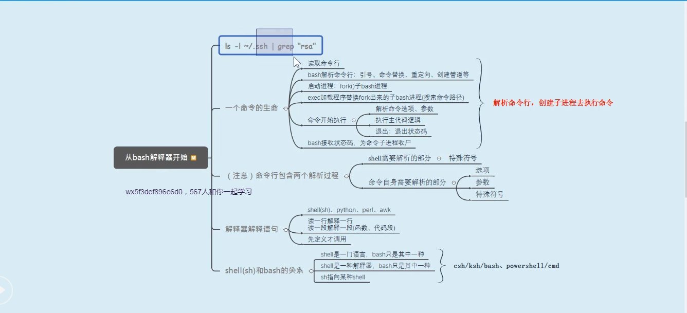 Linux学习——Shell